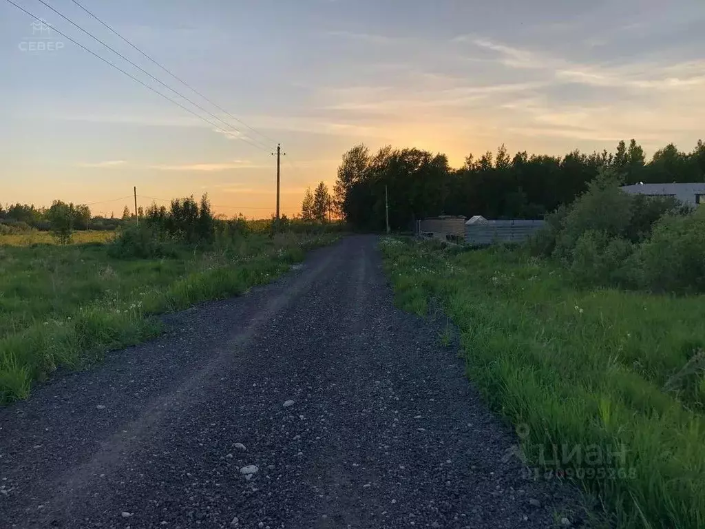 Участок в Новгородская область, Новгородский район, Савинское с/пос, ... - Фото 0