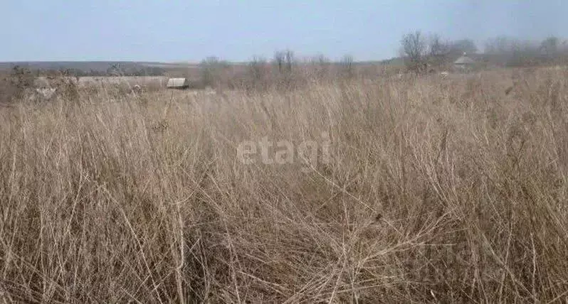 Участок в Воронежская область, с. Новая Усмань ул. Весенняя (12.0 ... - Фото 1