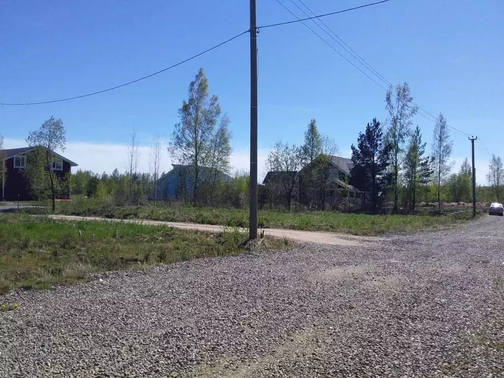 Участок в Ленинградская область, Всеволожский район, Колтушское ... - Фото 2