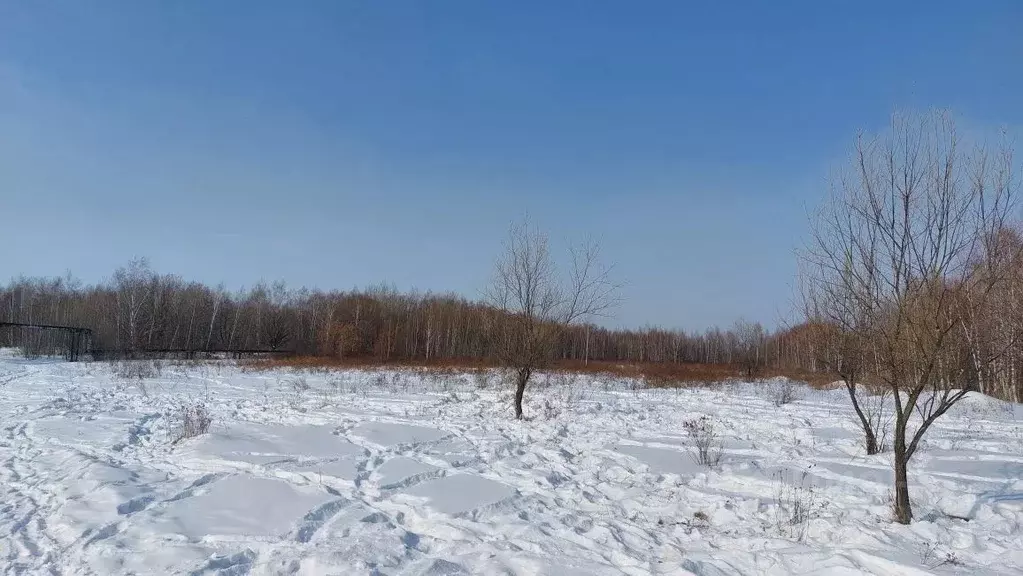 Участок в Хабаровский край, Хабаровский район, с. Восточное ... - Фото 2