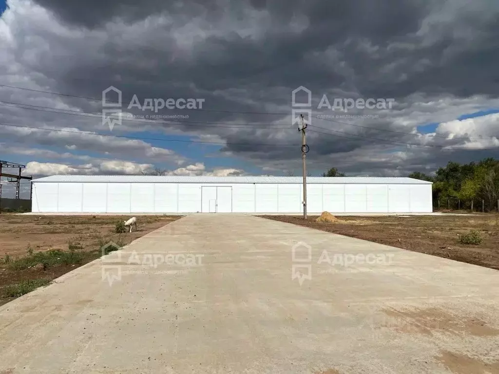 Офис в Волгоградская область, Волгоград ш. Авиаторов, 103 (1150 м) - Фото 0