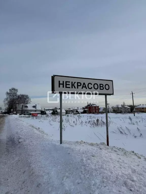 Участок в Костромская область, Костромской район, Шунгенское с/пос, д. ... - Фото 1