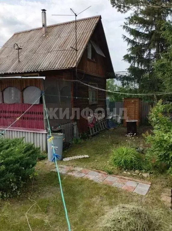 Дом в Новосибирская область, Колыванский район, Ветеран СНТ  (70 м) - Фото 1