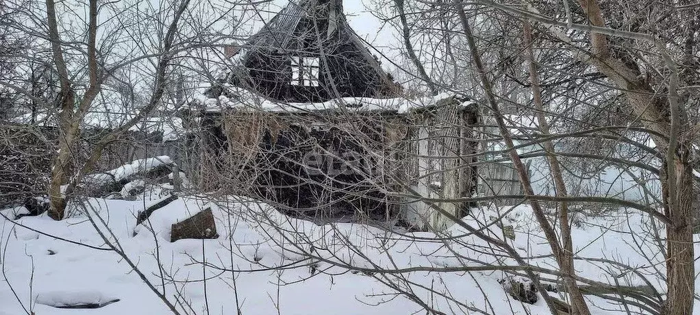 Участок в Брянская область, Фокино ул. Головачева (20.5 сот.) - Фото 1