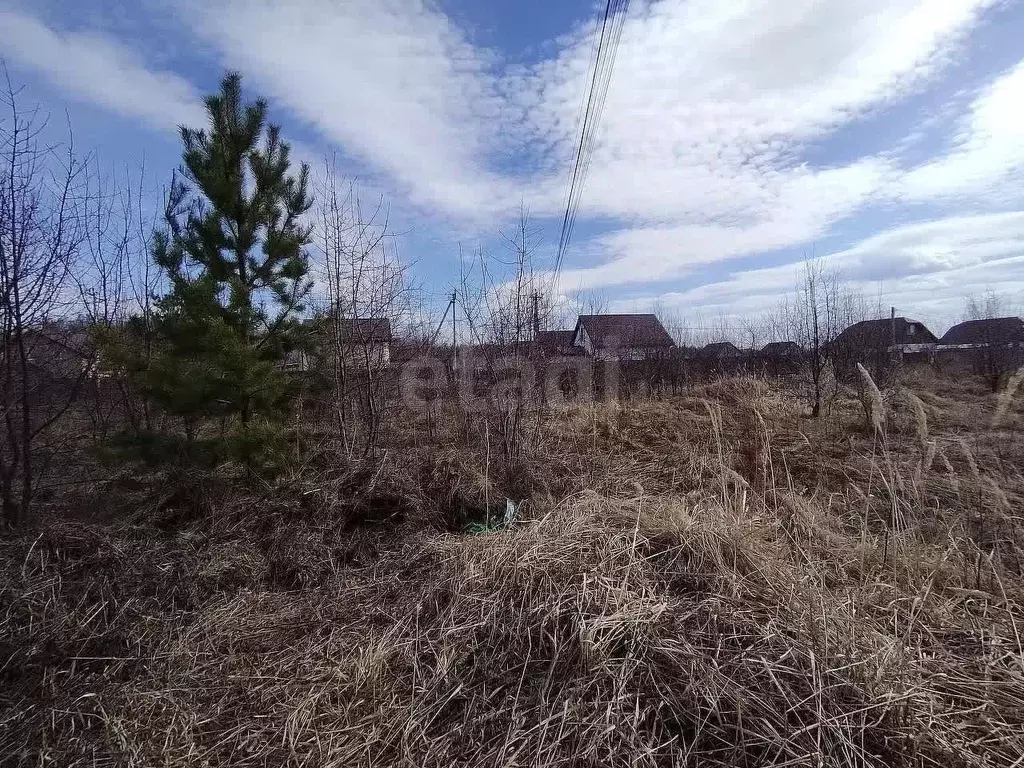 Участок в Челябинская область, Сосновский муниципальный округ, д. ... - Фото 1