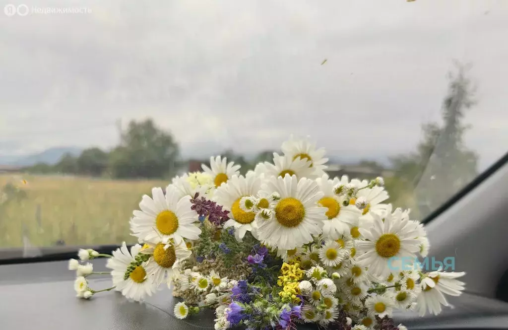 Участок в Гизель, улица Фидарова (10 м) - Фото 0