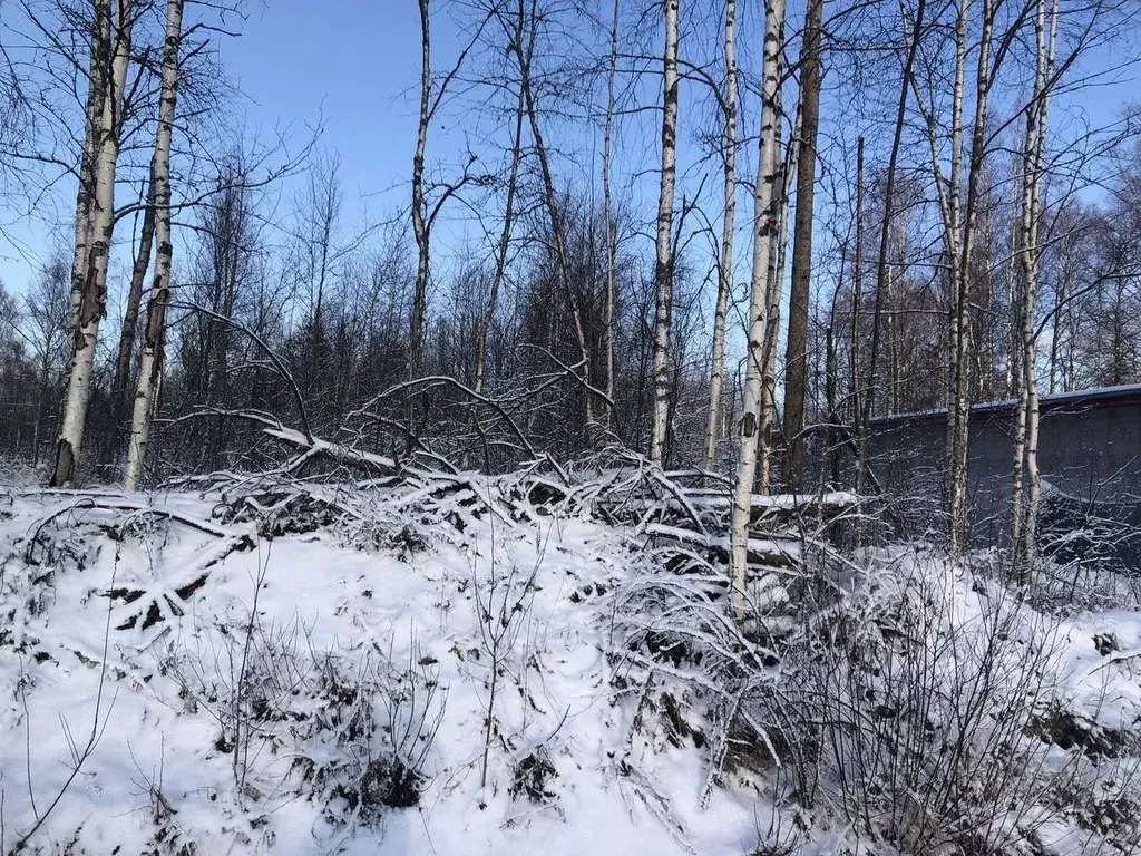 Участок в Ленинградская область, Всеволожский район, Колтушское ... - Фото 0