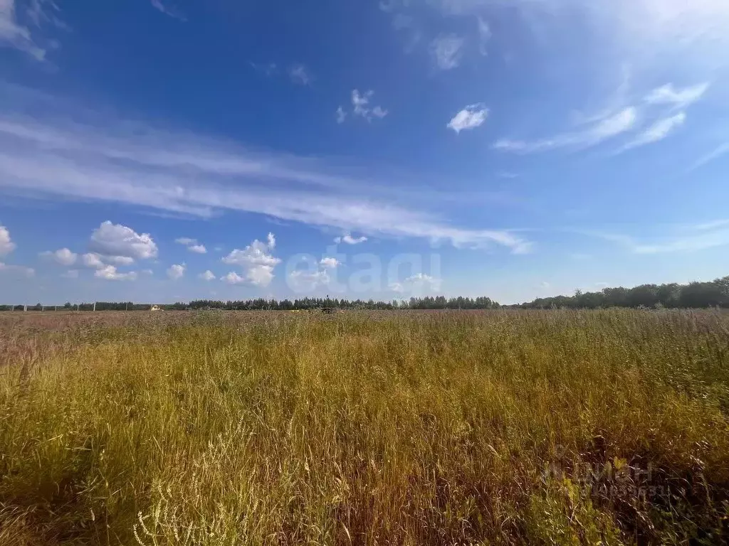 Участок в Костромская область, Кострома проезд Ситцевый (10.64 сот.) - Фото 1