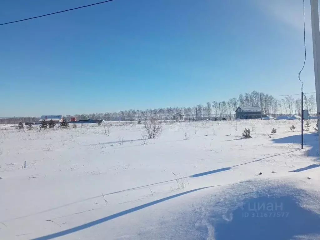 Участок в Ульяновская область, Ульяновск Дендрарий СНТ,  (6.0 сот.) - Фото 0