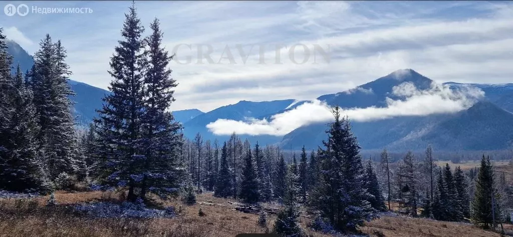 Участок в Усть-Коксинский район, село Катанда (6.18 м) - Фото 2