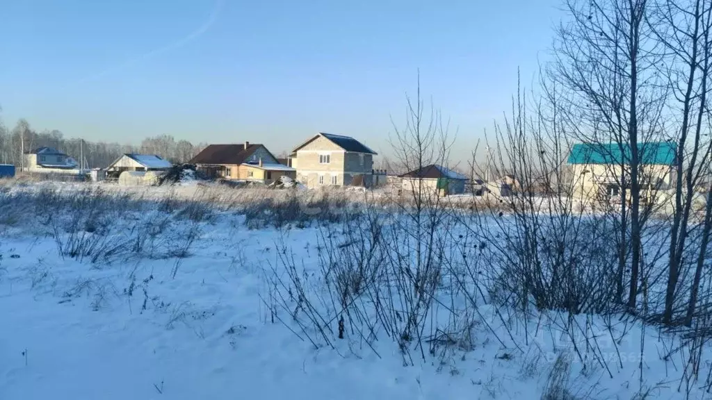 Участок в Новосибирская область, Новосибирский район, Барышевский ... - Фото 0