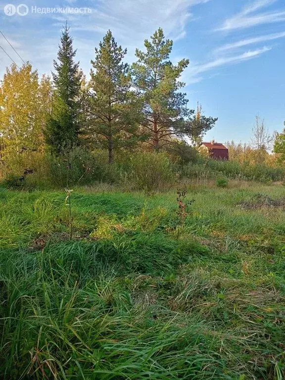 Участок в Панковское городское поселение, садоводческий массив № 3, ... - Фото 1