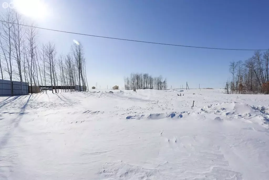 Участок в Хабаровский район, Тополевское сельское поселение, село ... - Фото 1