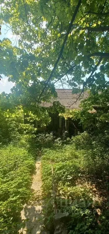 Участок в Санкт-Петербург пос. Парголово, ул. Шишкина, 207 (18.0 сот.) - Фото 1