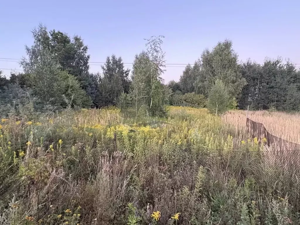 Участок в Московская область, Богородский городской округ, д. ... - Фото 2