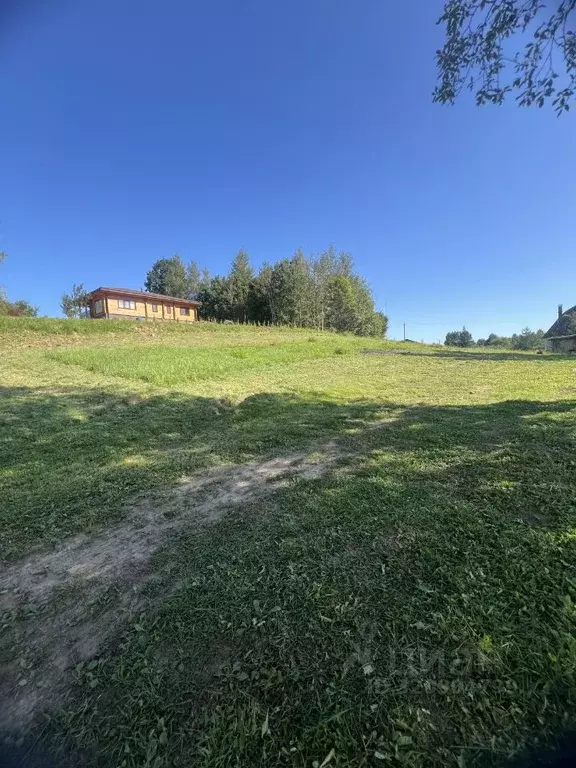Участок в Псковская область, Великолукский район, Пореченская волость, ... - Фото 2