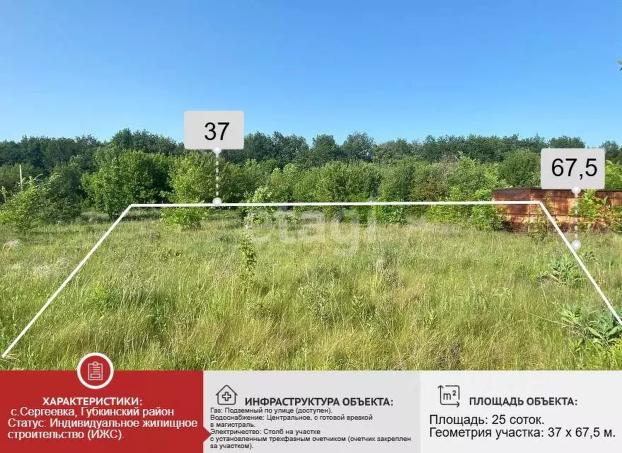 Участок в Белгородская область, Губкинский городской округ, с. ... - Фото 0