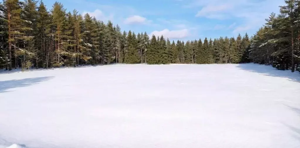 Участок в Московская область, Одинцовский городской округ, пос. ... - Фото 1