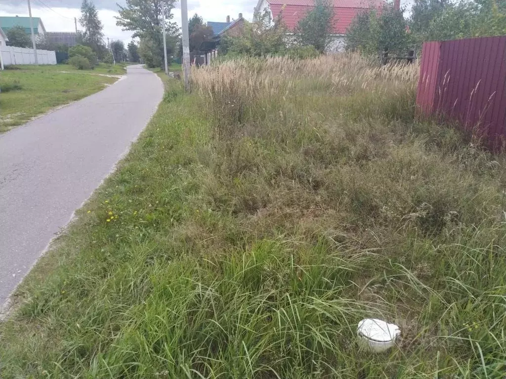Участок в Московская область, Орехово-Зуевский городской округ, д. ... - Фото 1
