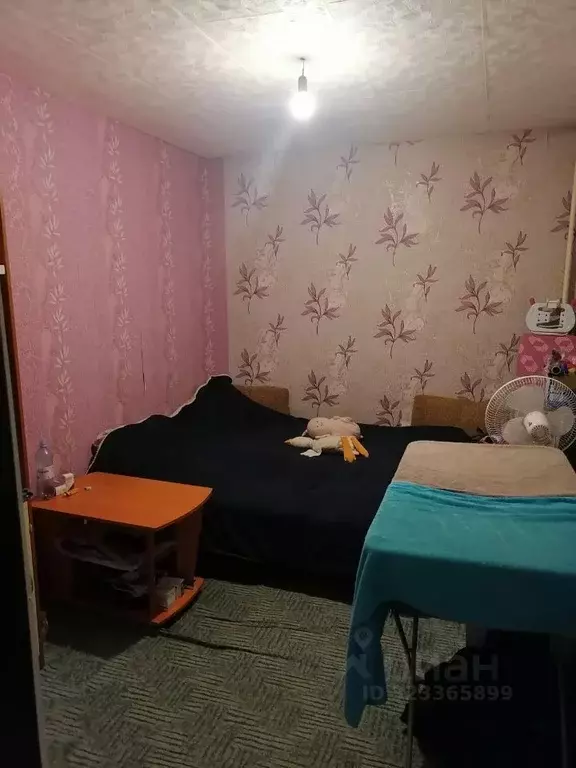 Комната Омская область, Омск ул. Рабиновича, 91 (13.8 м) - Фото 1