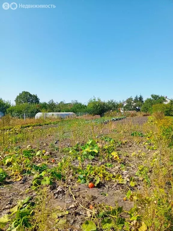 Участок в Плещеево, Зелёная улица (10.5 м) - Фото 2