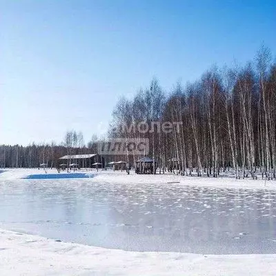 Участок в Московская область, Ступино городской округ, д. Колычево  ... - Фото 1