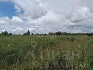 Участок в Свердловская область, Талица ул. Луначарского (11.0 сот.) - Фото 0