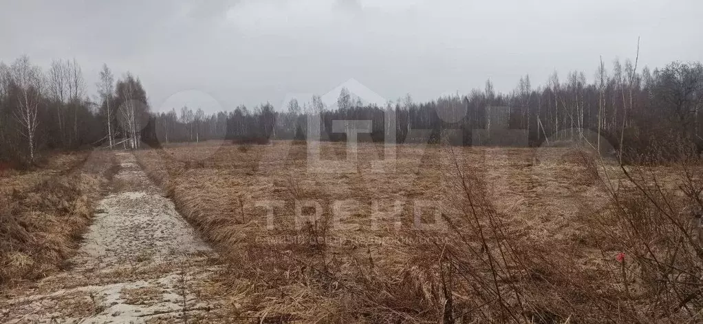 Участок 24 сот. (СНТ, ДНП) - Фото 0