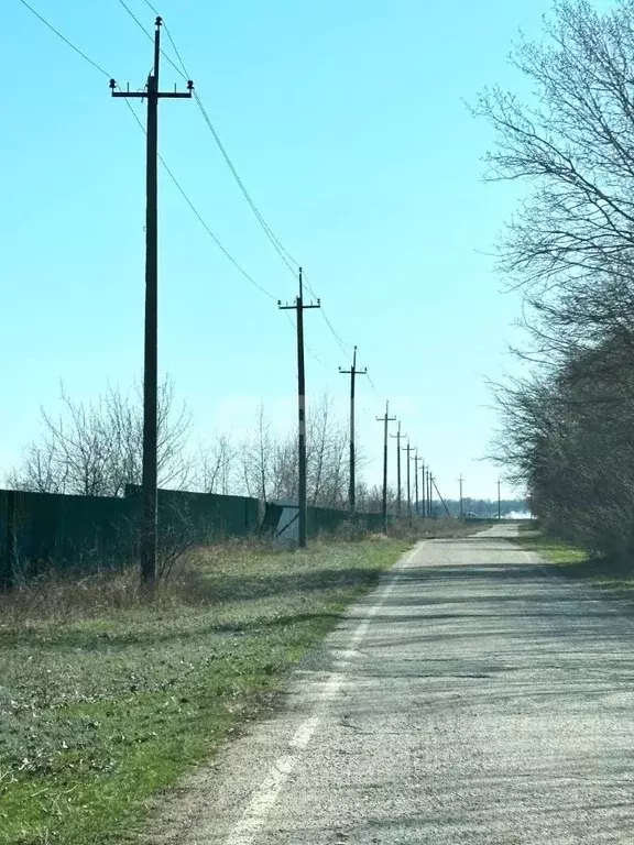 Участок в Волгоградская область, Среднеахтубинский район, Красное ... - Фото 0