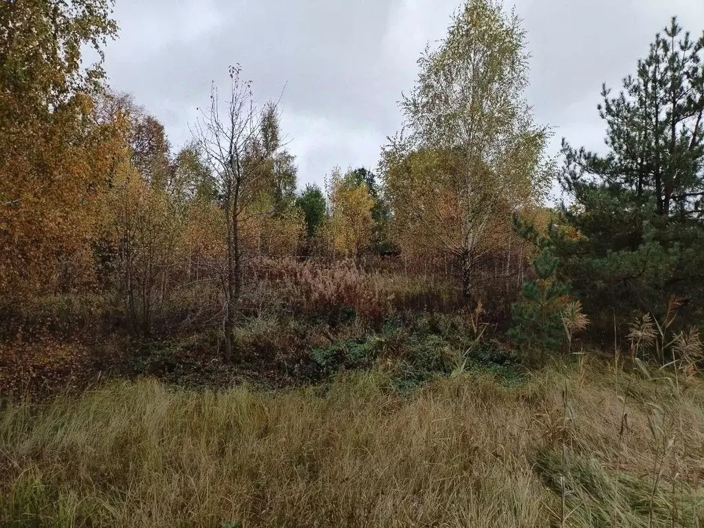 Участок в Московская область, Коломна городской округ, д. Климово  ... - Фото 0