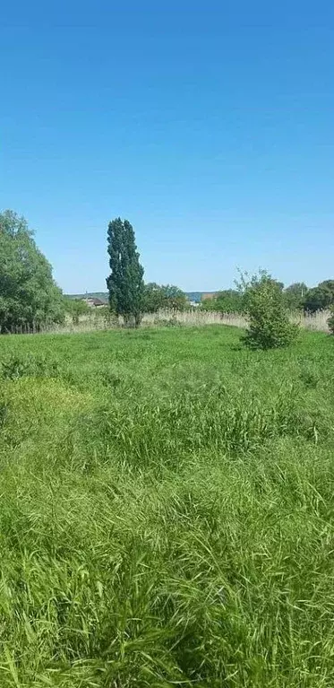 Участок в Краснодарский край, Анапа муниципальный округ, Гостагаевская ... - Фото 1