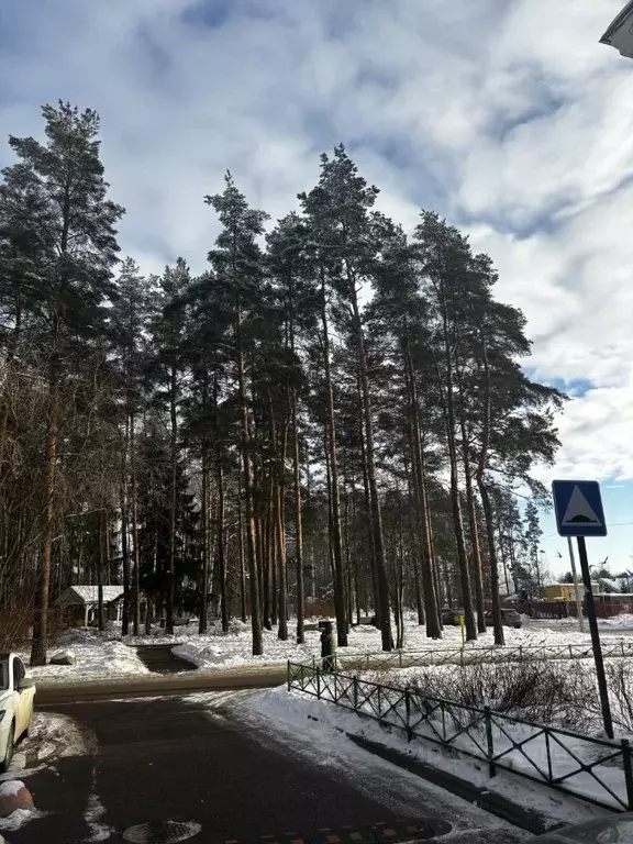 3-к кв. Санкт-Петербург пос. Песочный, ул. Новостроек, 82 (58.0 м) - Фото 1