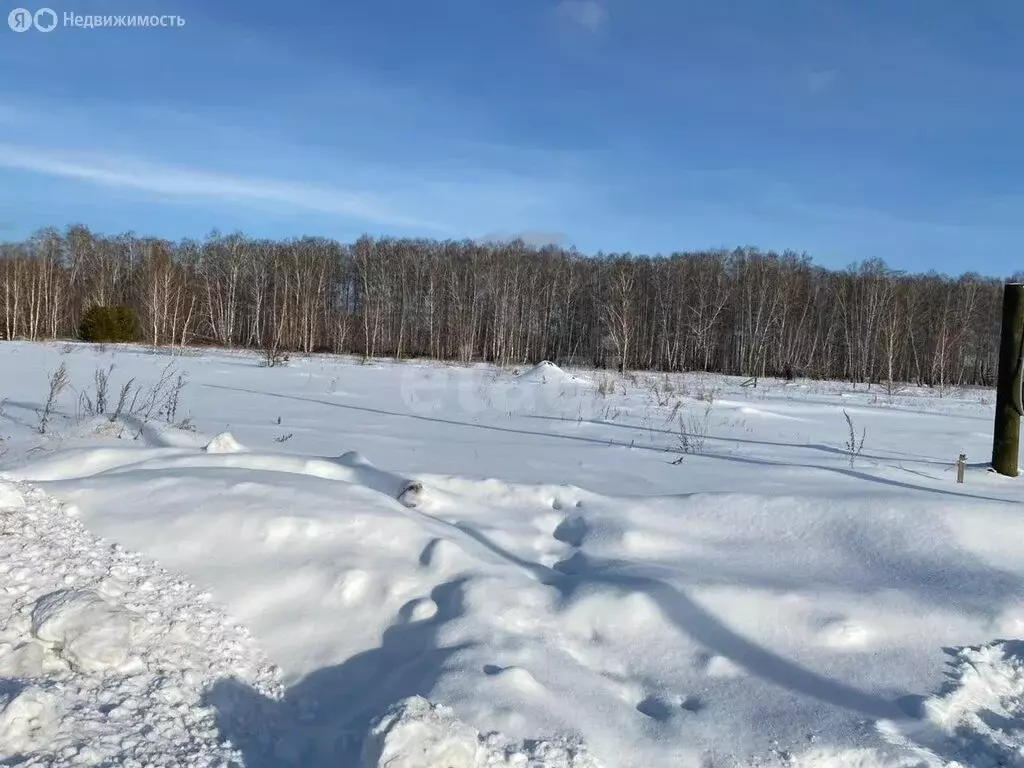 Участок в Курганская область, Кетовский муниципальный округ, деревня ... - Фото 2