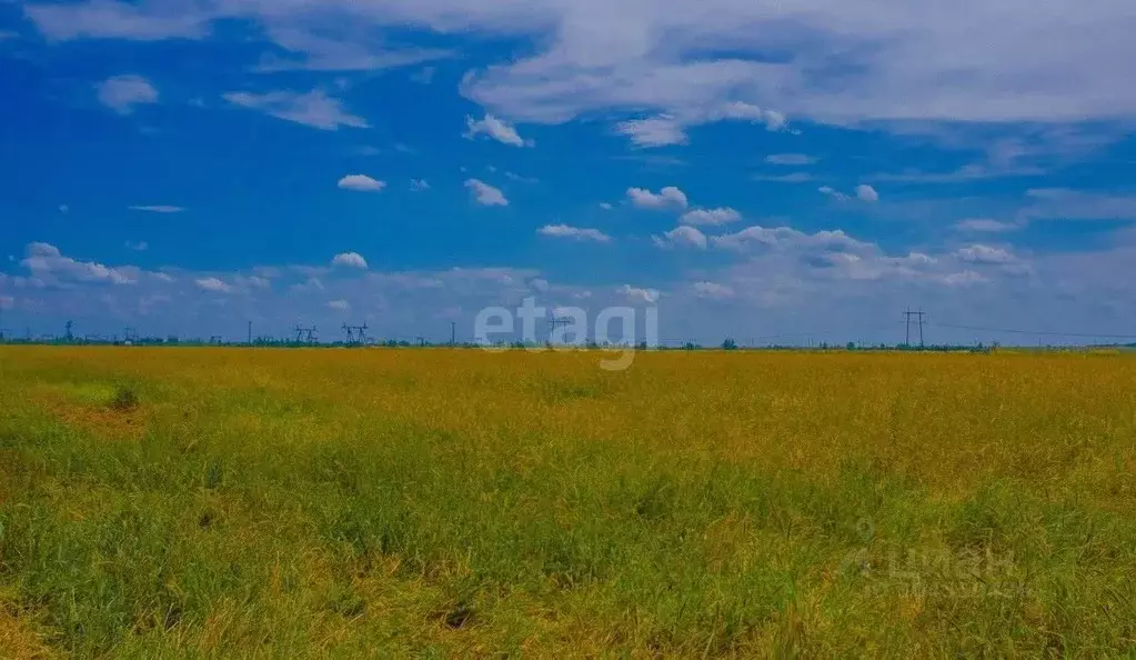 Участок в Кировская область, Слободской район, Шиховское с/пос, д. ... - Фото 1