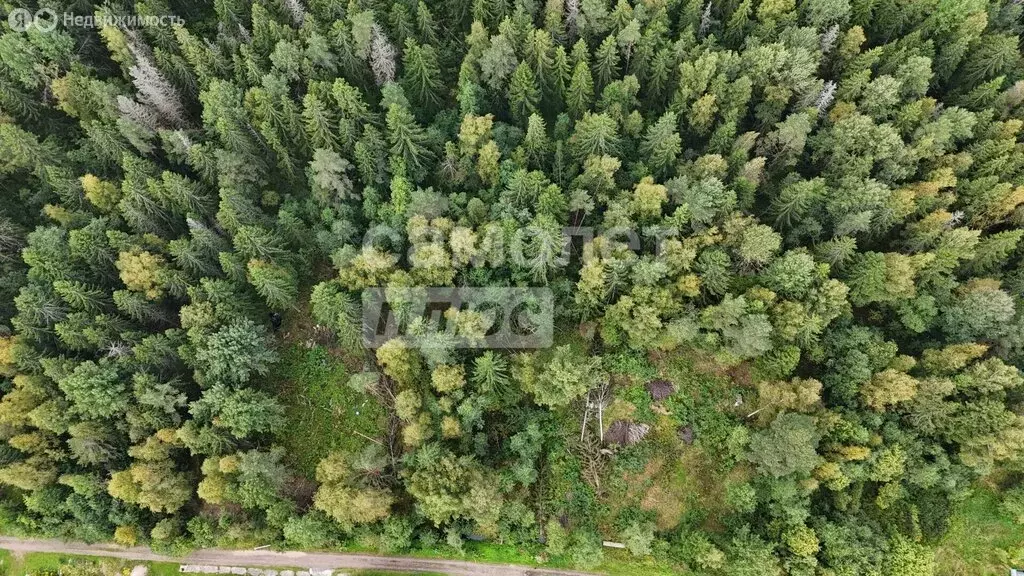 Участок в городской посёлок Форносово, Полевая улица (10 м) - Фото 1