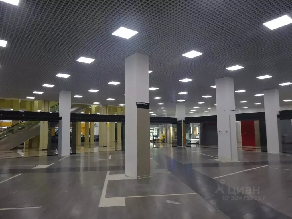 Торговая площадь в Санкт-Петербург Богатырский просп., 18К2 (250 м) - Фото 1