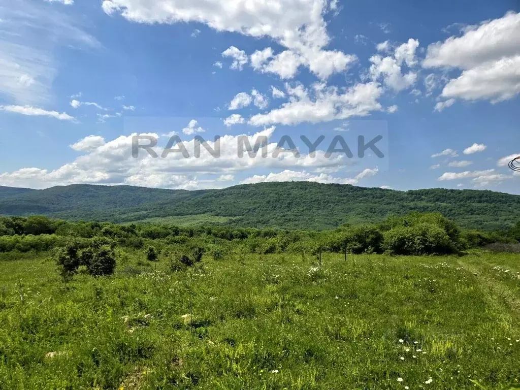 Участок в Адыгея, Майкопский район, Даховская ст-ца Советская ул., 20 ... - Фото 1
