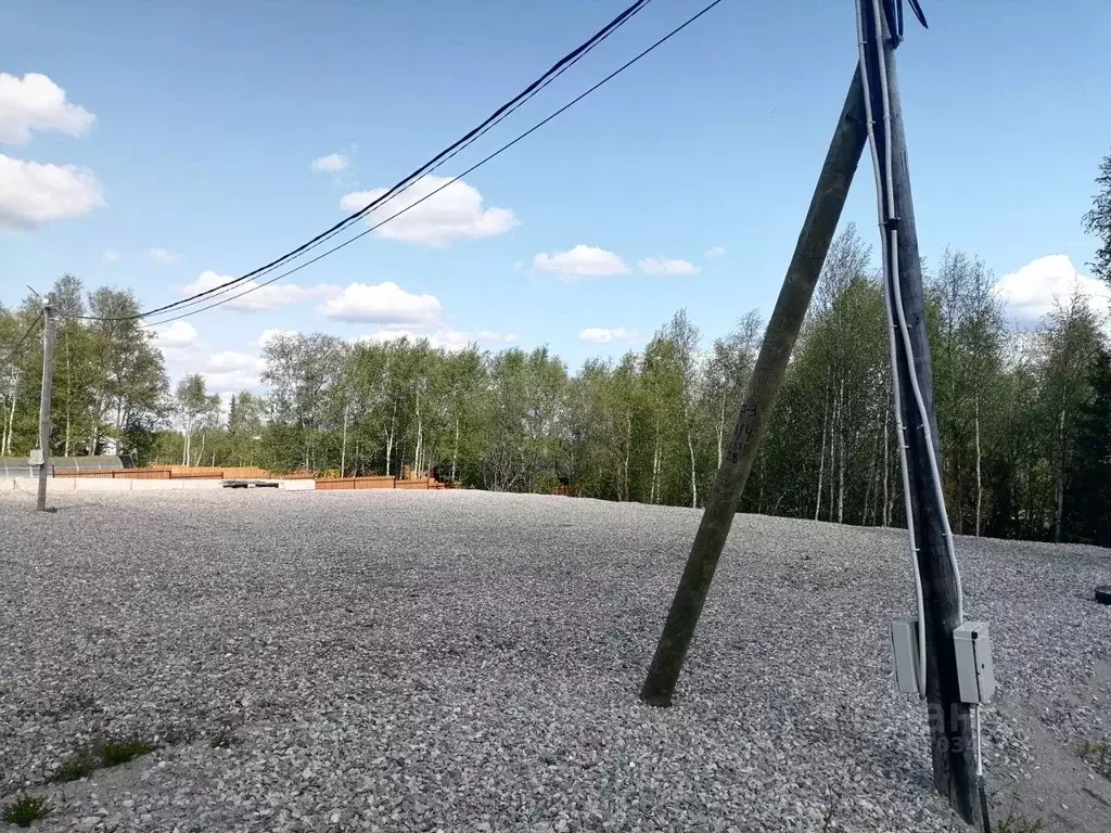 Участок в Мурманская область, Кольский район, Молочный городское ... - Фото 2