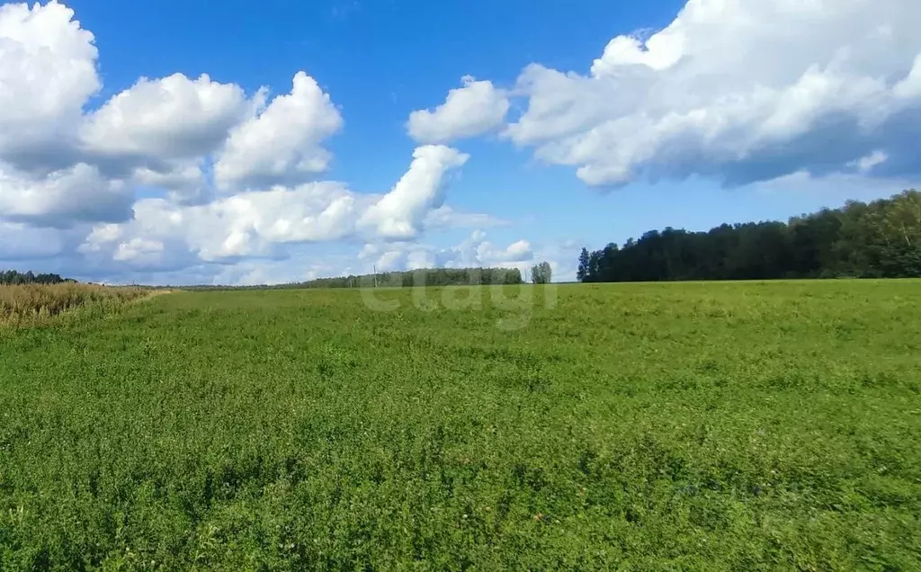 Участок в Калужская область, Ферзиковский район, Бебелевский ... - Фото 2