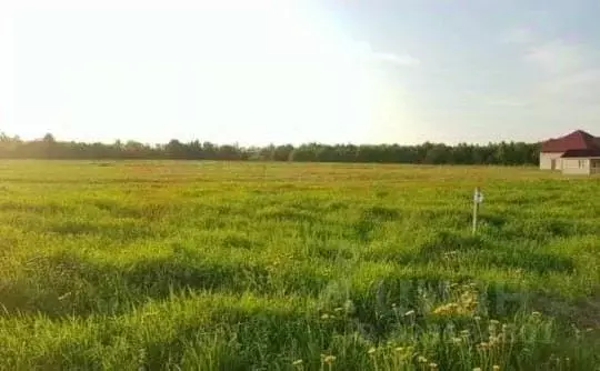 Участок в Ростовская область, Новочеркасск Айвовая ул. (6.0 сот.) - Фото 1