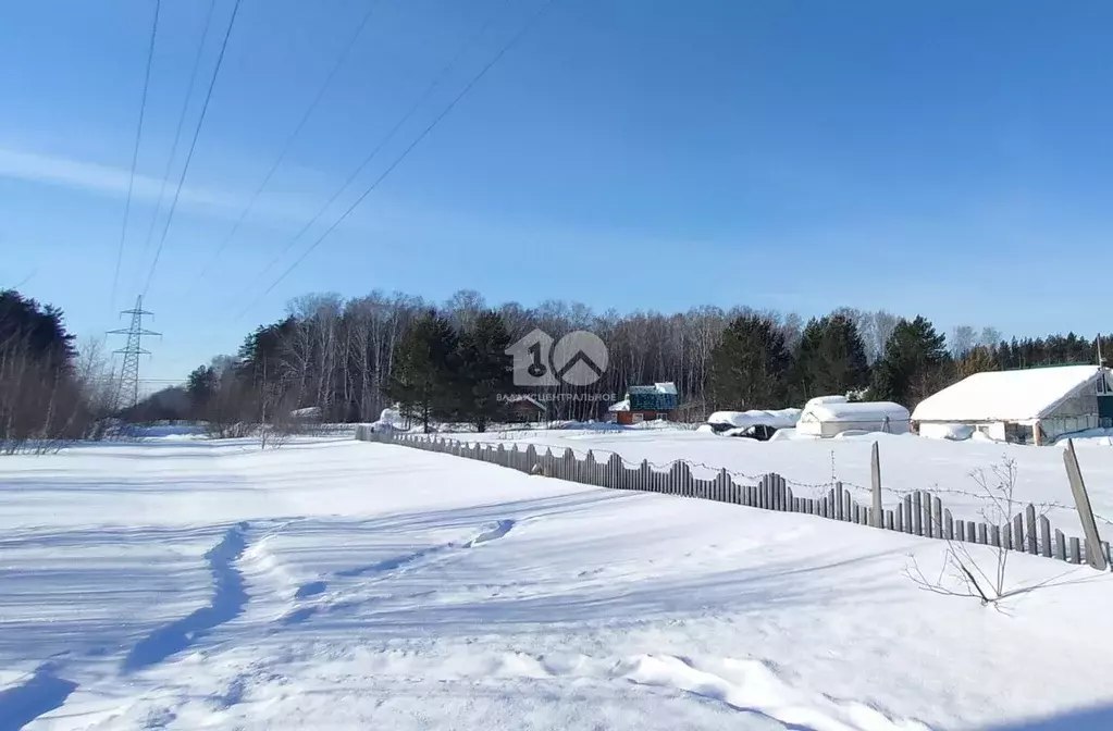 Участок в Новосибирская область, Тогучинский район, Заринка СТ ул. ... - Фото 2