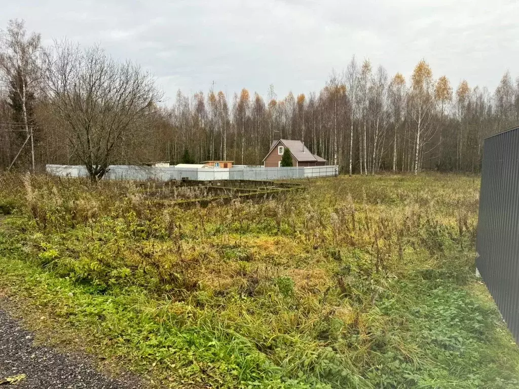 Участок в Московская область, Клин городской округ, Орлово СНТ  (16.0 ... - Фото 0