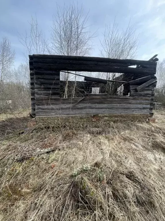 Участок в Московская область, Щелково городской округ, д. Маврино 15 ... - Фото 2