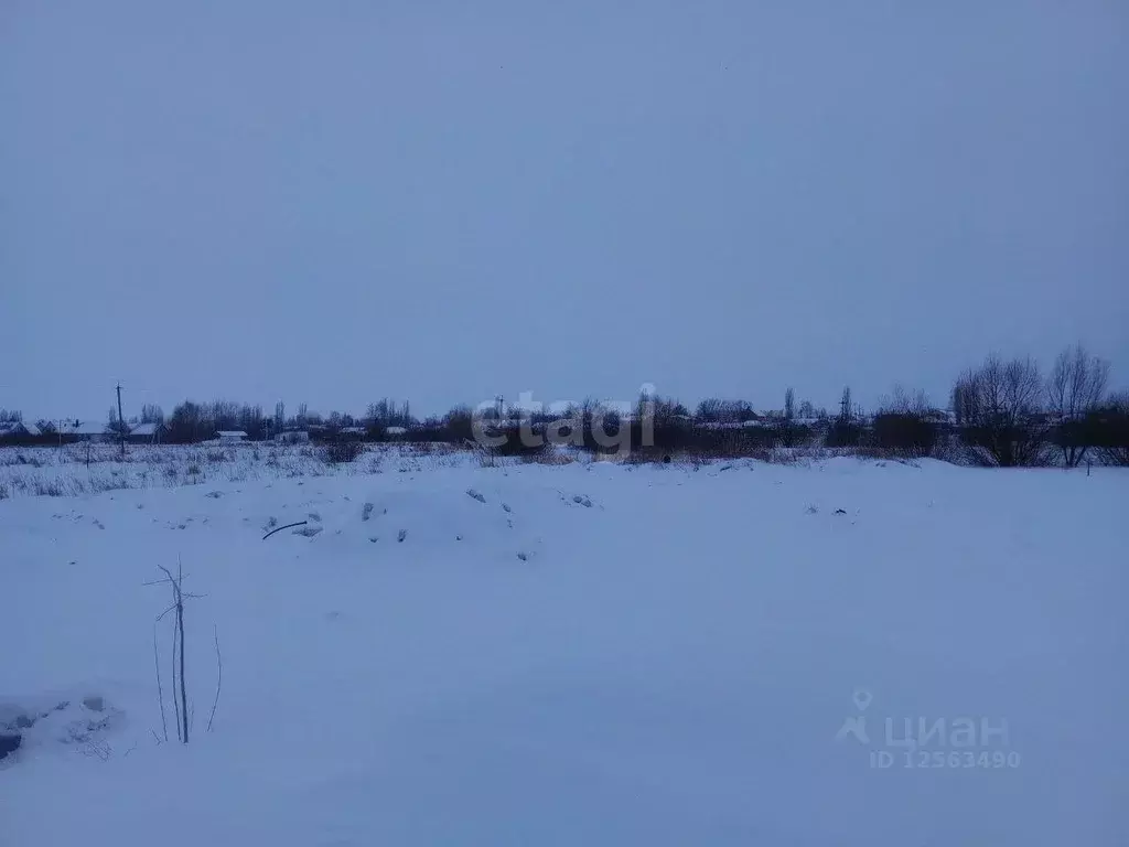 Участок в Воронежская область, с. Новая Усмань ул. Кутузова (13.5 ... - Фото 1