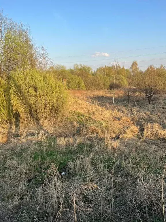 Участок в Московская область, Раменский муниципальный округ, д. ... - Фото 2