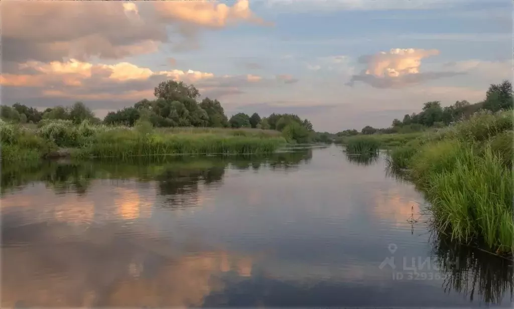 Участок в Ивановская область, Ивановский муниципальный округ, с. ... - Фото 2