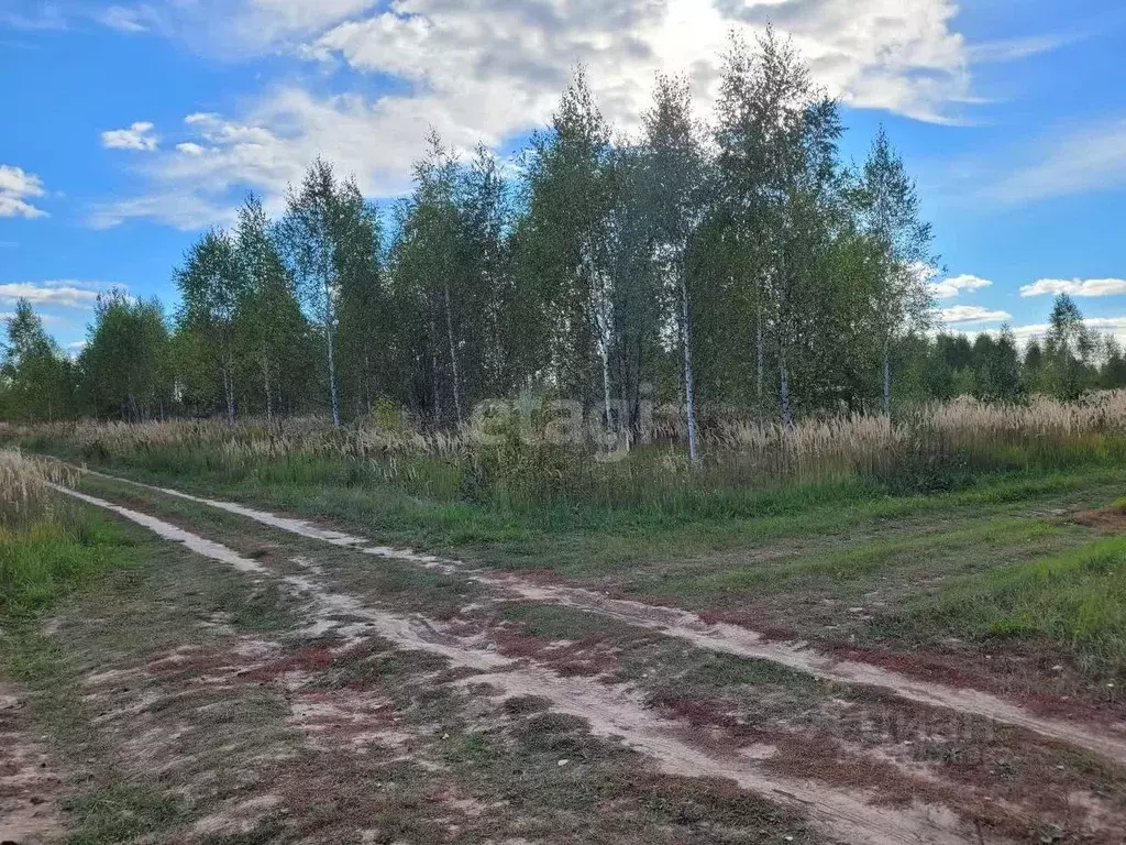 Участок в Марий Эл, Йошкар-Ола городской округ, д. Шоя-Кузнецово ул. ... - Фото 0