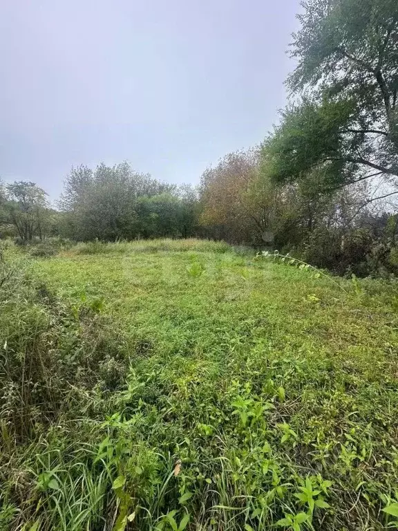 Участок в Амурская область, Благовещенск пос. Моховая Падь, Литер ... - Фото 1