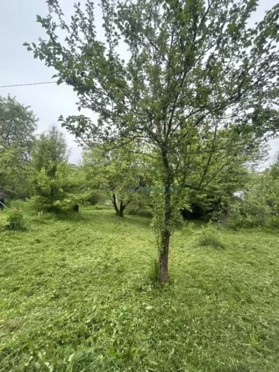 Участок в Нижегородская область, Нижний Новгород Победа СНТ,  (7.57 ... - Фото 2