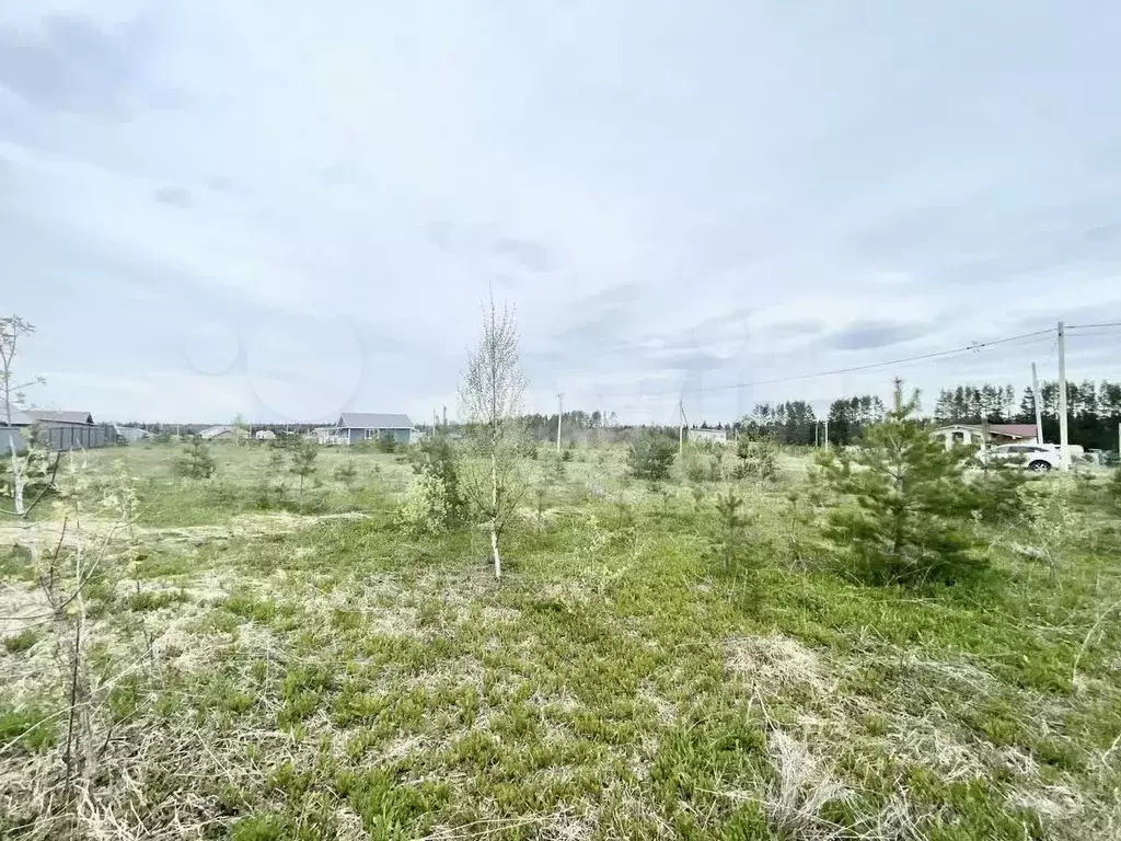 Участок 8 сот. (СНТ, ДНП) - Фото 1